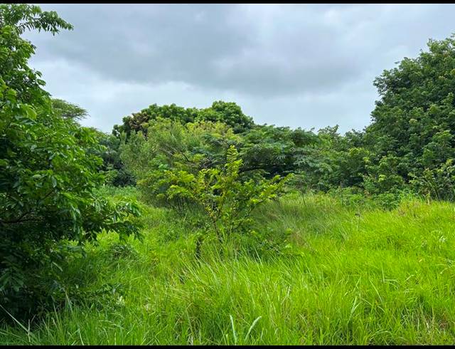 LAND FOR SALE IN ZINI RIVER ESTATE
